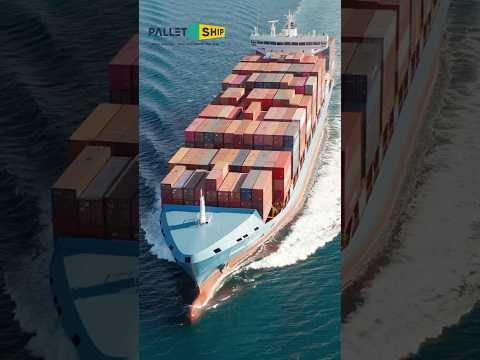 LCL vs FCL Sea Freight Explained