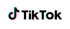 Tik Tok Official Horizontal Wordmark