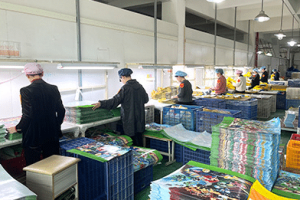Factory workers assembling insulated delivery bags on a production line, quality control and packaging in progress.